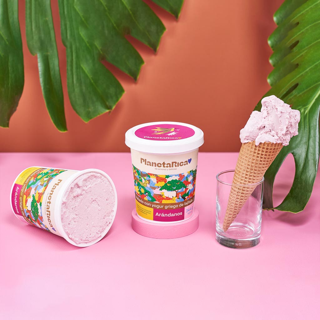 Helado con yogur de Búfala - Arándanos x 500g