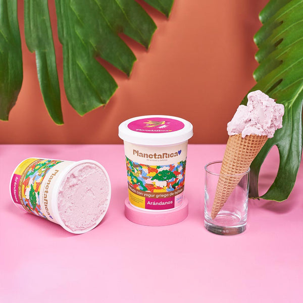 Helado con yogur de Búfala - Arándanos x 500g