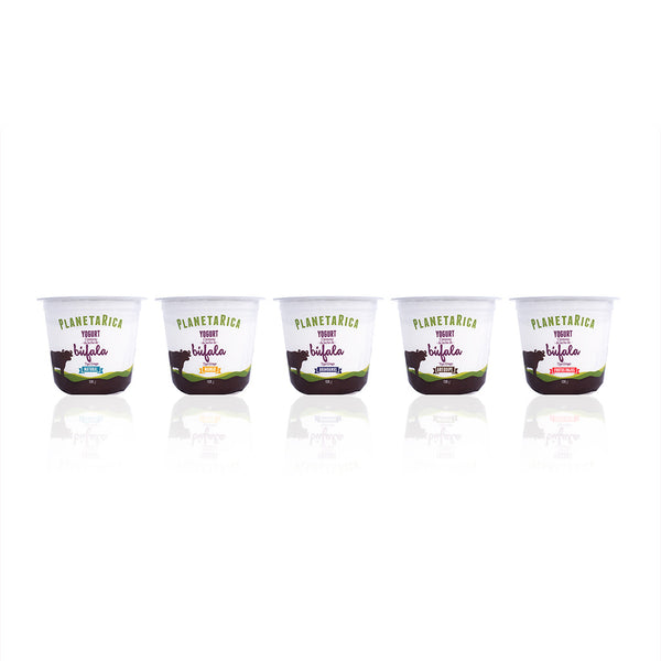 Yogur Griego leche de Búfala - Sabores x 150g