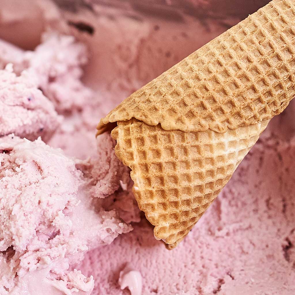 Helado con yogur de Búfala - Arándanos x 500g